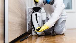 Best Commercial Pest Control  in Cameron, TX