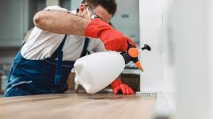 Best Real Estate Pest Inspections  in Cameron, TX